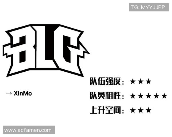 数据分析BLG团队成员个人能力表现的全面评估与探讨